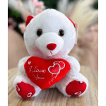 Teddy Bear With Heart