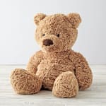 Teddy Bear Plush Animal
