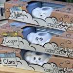 Slow Drip Watering clouds - Cooper with sunglasses