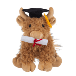 Graduation Highland Cow