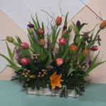 Tulips and twigs