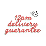Graphic reading '12pm delivery guarantee' with a small stopwatch icon