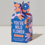 Colorful seed bomb gift box with stylized orange and pink flowers on a blue background.