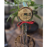 Potted plant with a gold coin ornament and red ribbon