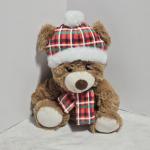 Plush teddy bear wearing a plaid winter hat and scarf