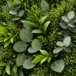 Fresh Greenery Upgrade