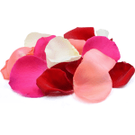 Pile of multicolored rose petals on a white background