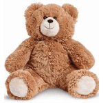 Brown teddy bear sitting on a white background