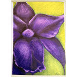 Greeting Card- “Orchid” by Alyta Milana