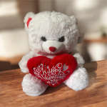 Valentine's Teddy