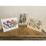 Three floral greeting cards with watercolor-style flowers on white backgrounds