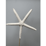 Starfish Pick- Small