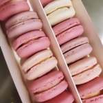 Box of pink and white macarons arranged in rows