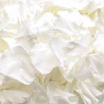 Loose white rose petals in a soft piled arrangement