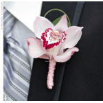 Pink and white orchid boutonniere pinned to a suit jacket