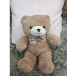 Buster the Bear with a Bow Tie