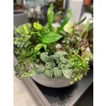 Mixed Garden Planter