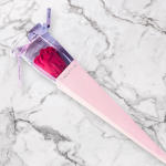 Single red rose in a pink cone sleeve with ribbon