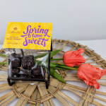 Box of dark chocolate sea salt caramels beside two coral tulips