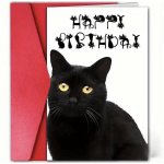 Birthday card with a black cat and red envelope