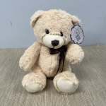 Plush teddy bear with a ribbon and hanging tag