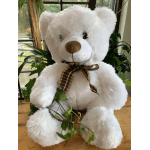 White teddy bear with a plaid ribbon and ivy accents