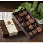 Box of assorted chocolates beside a sprig of green leaves