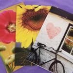 Full Size Greeting Card