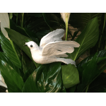 White decorative bird ornament with open wings set against a dark green background
