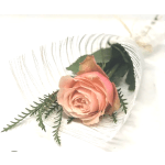 Single peach rose wrapped in white mesh with greenery