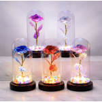 Four illuminated glass domes with colorful artificial roses on black bases
