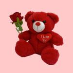 Red teddy bear holding a rose and heart pillow