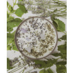Round candle topped with lavender buds and herbs on a floral background