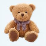 Brown teddy bear with a plaid bow on a light background