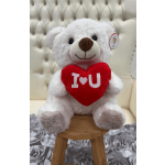 Teddy Bear with heart I LOVE YOU