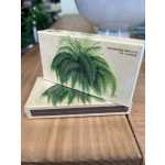 Two plant boxes with a fern illustration on a wooden table