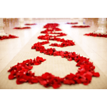 Red rose petals arranged in a winding path on a light floor