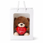 Brown teddy bear holding a red heart in a white gift bag