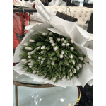 Century (100) of White tulips