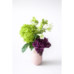 Reflection of Hydrangea