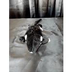 Black-and-white plush orca whale toy on a dark surface