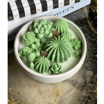 Round tray of green succulent-shaped candles