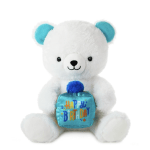 White teddy bear plush holding a blue birthday gift pillow with colorful text.