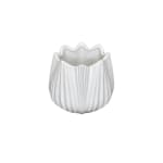 White ribbed ceramic vase with a scalloped rim