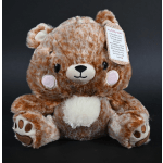 Plush teddy bear with a hanging tag on a dark background