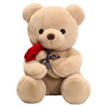 Beige teddy bear holding a red rose