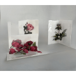 Three folded greeting cards with pressed floral designs