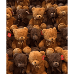 Rows of brown and tan teddy bears with ribbon bows