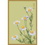 Illustration of white daisies with yellow centers on a pale green background