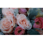 Close-up bouquet of pale pink and hot pink roses with dusty blue foliage